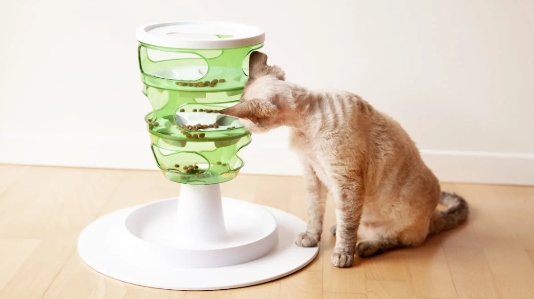 A cat playing with puzzle toys or engaging in sensory play.