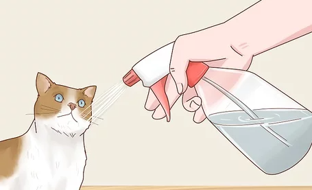 Alternatives to Locking Your Cat in the Bathroom