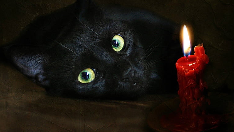 Collage of cat eyes and candle flames to highlight the connection.