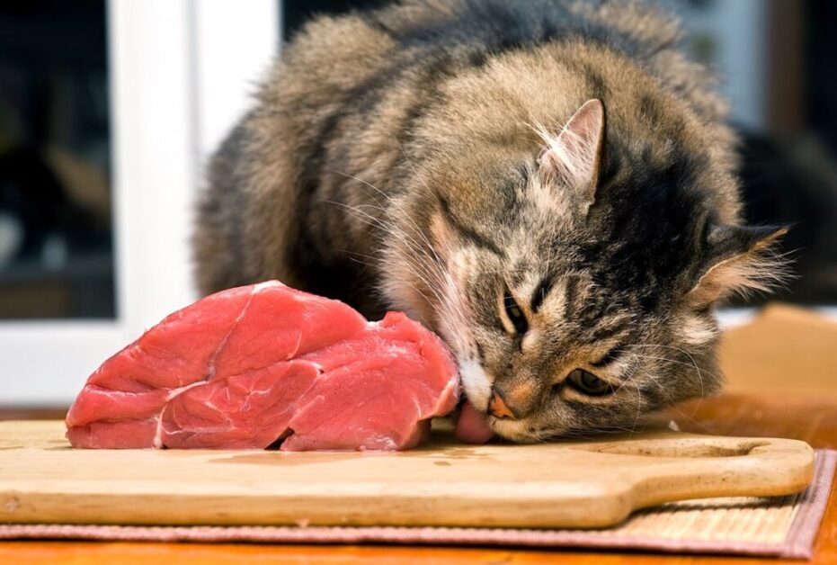 Cooked-Meat-For-Cats
