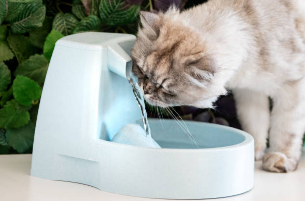 Visual representation of a cat water fountain.
