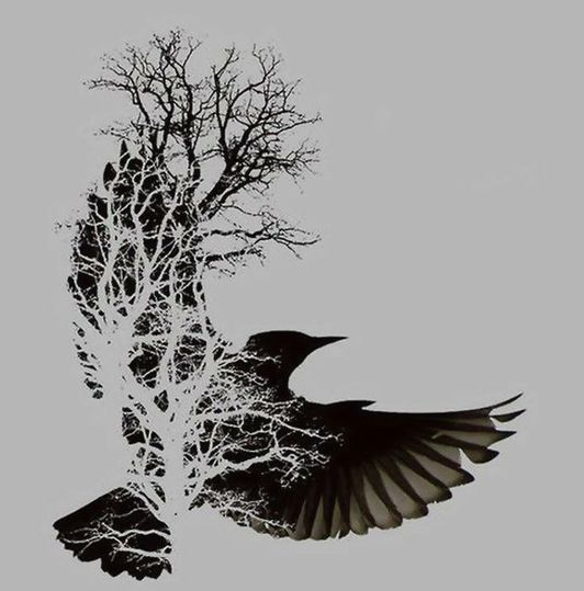 black silhouette of a tree transforming into a bird