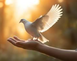 dove releasing from a hand