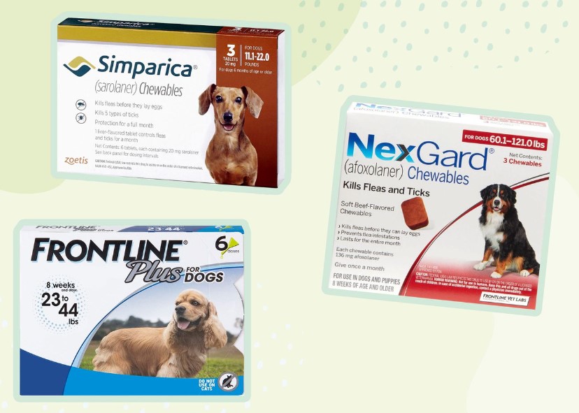 Other Flea and Tick Prevention Options