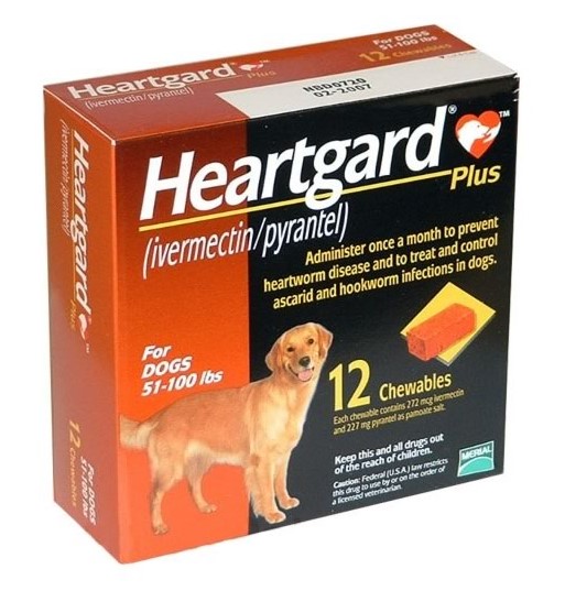 The Importance of Heartgard