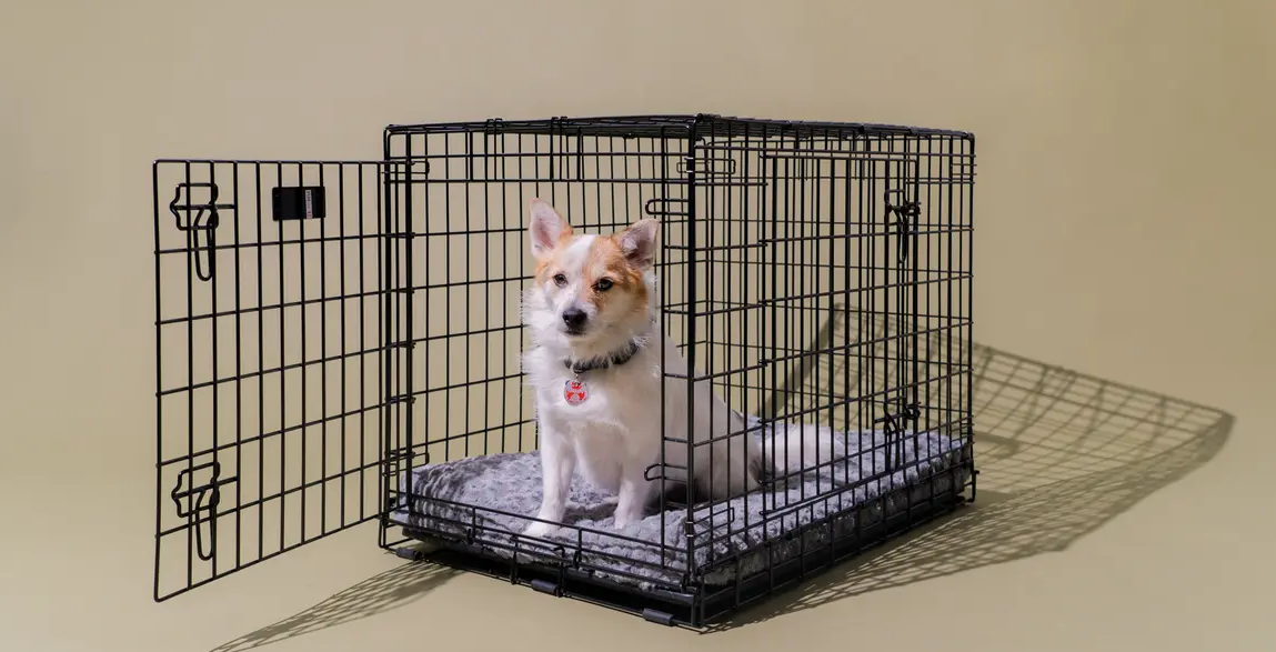Additional Tips for Putting Two Dog Crates Next to Each Other