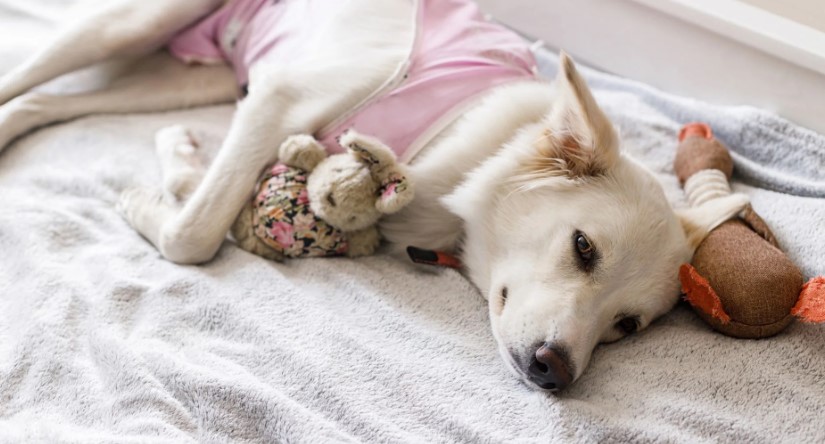 Behavioral Improvements