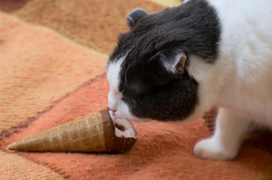Why Regular Ice Cream is a No-Go for Cats