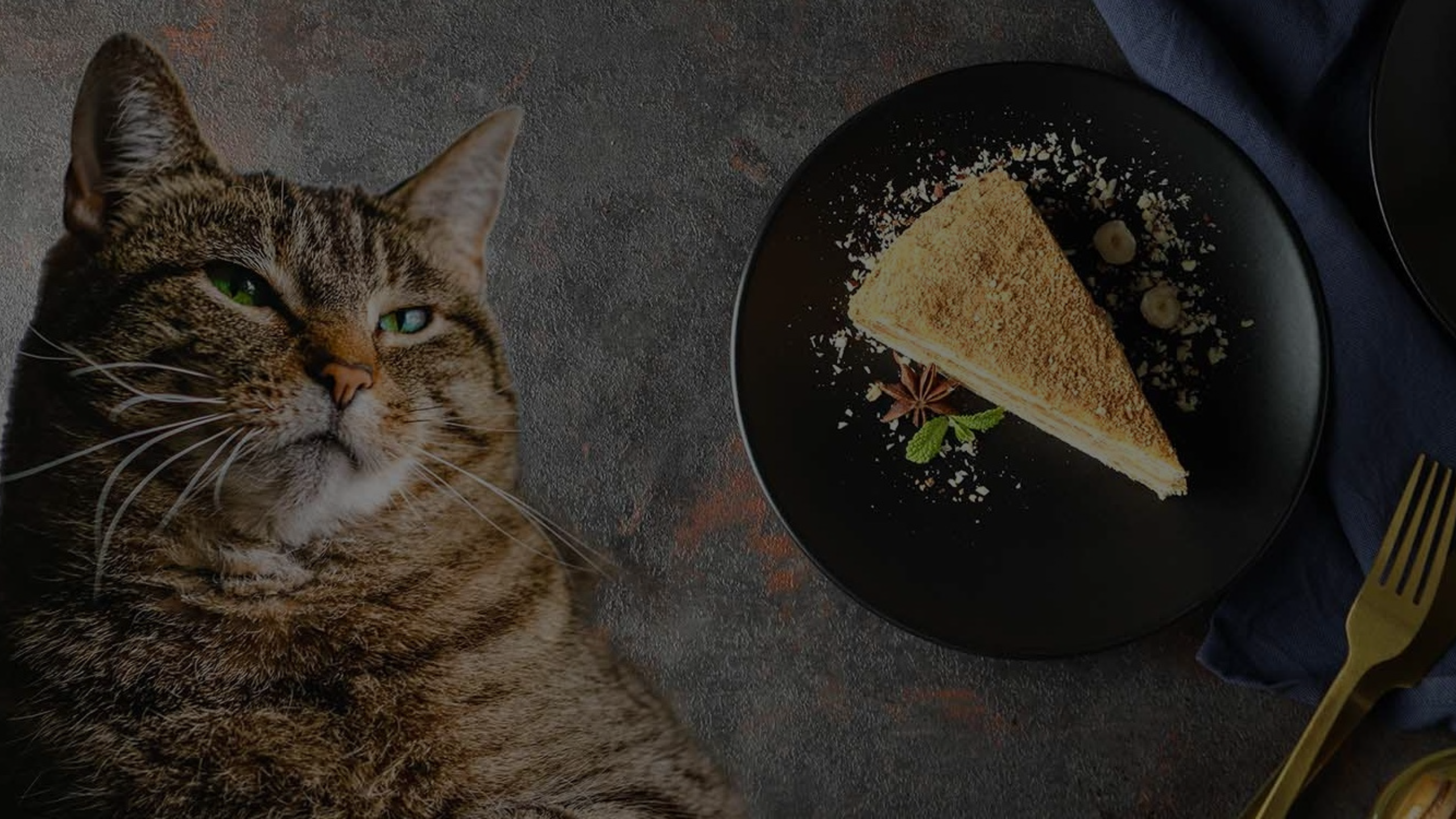 Can Cats Eat Carrot Cake Featured Images