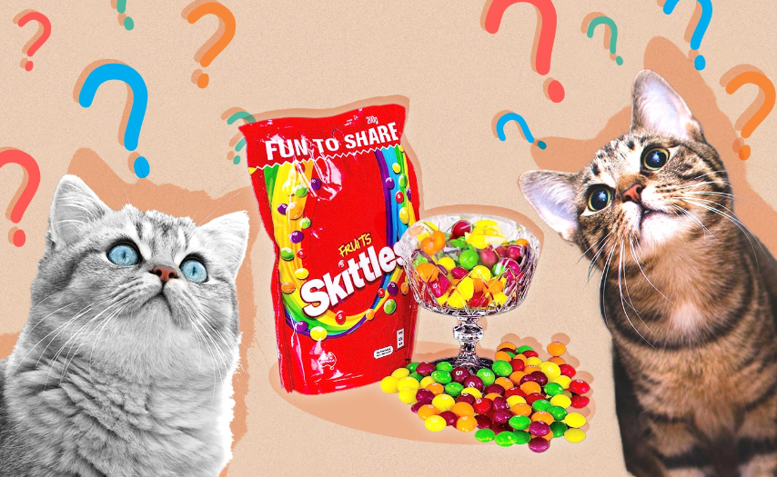 Can Cats Eat Skittles Featured IMG