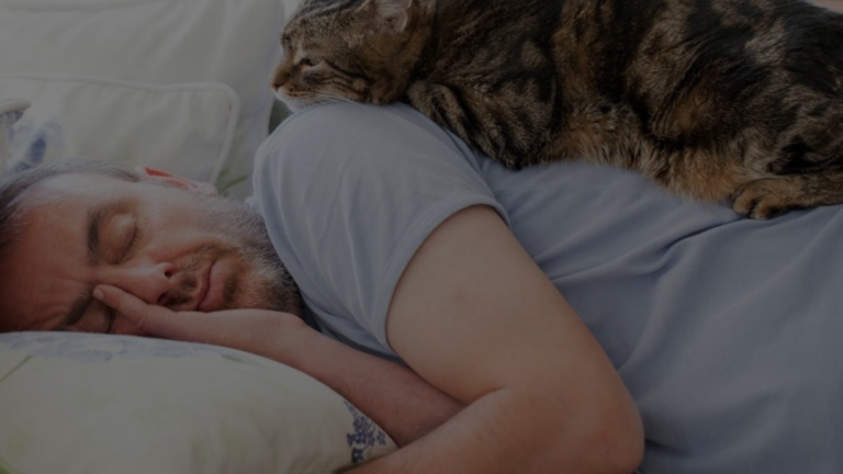 Why Does My Cat Jump on My Back?
