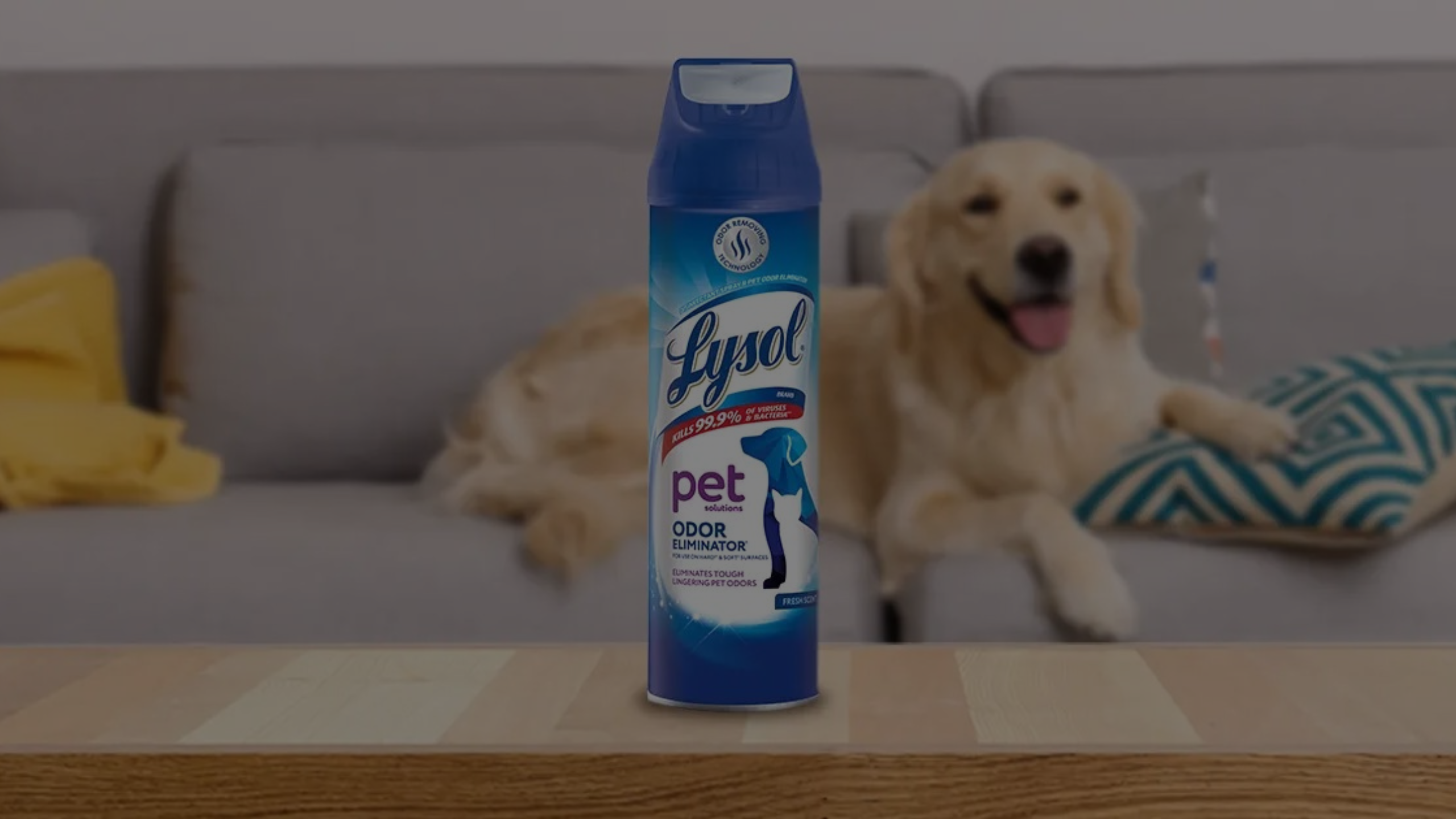 Can I Spray Lysol on Dog Bed Featured Images