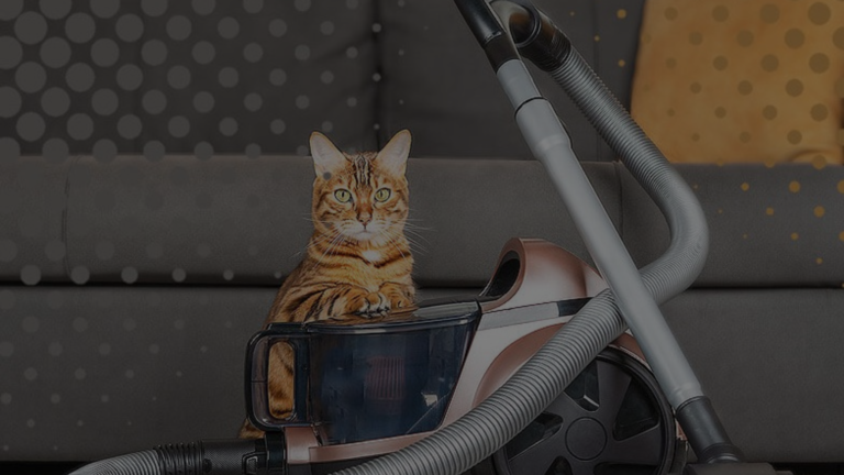 Can You Vacuum Cat Litter?