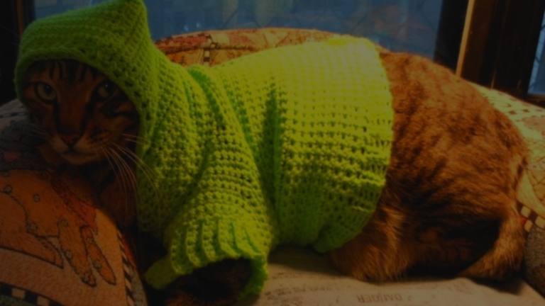 How to Crochet a Cat Sweater?