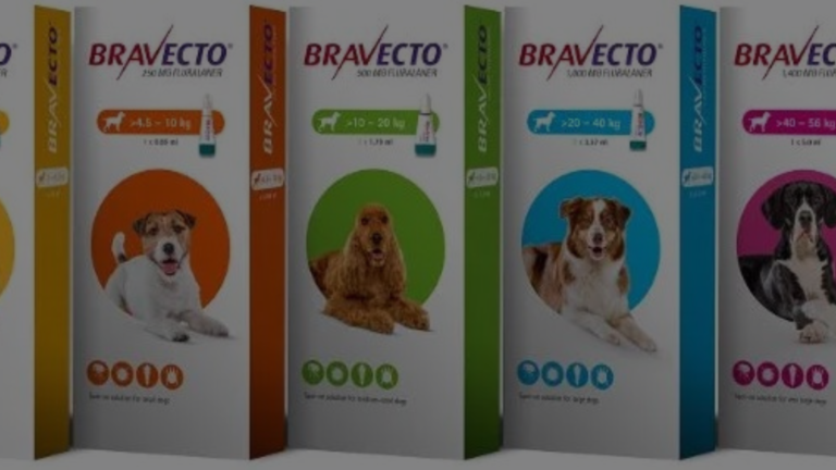 How to Detox My Dog from Bravecto?