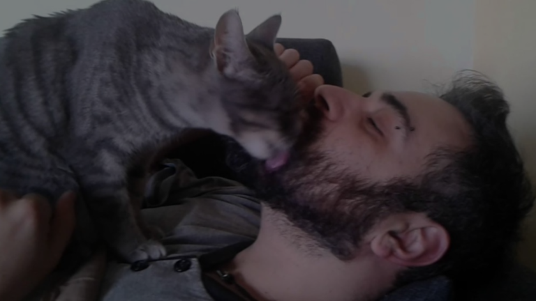 Why Does My Cat Lick My Beard?