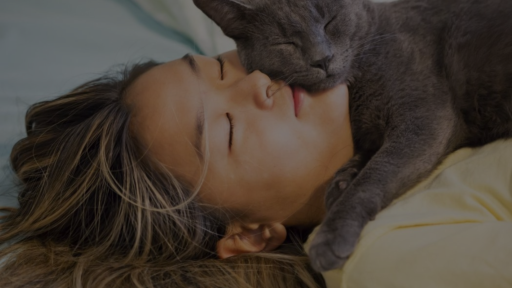 Why Does My Cat Tap Me When I'm Sleeping? Petsy Box