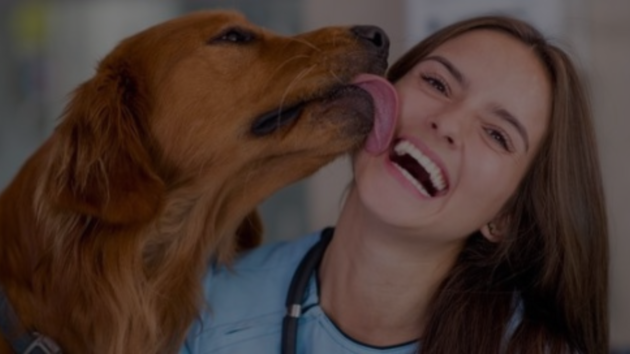 Why Does My Dog Lick My Armpit Featured Images