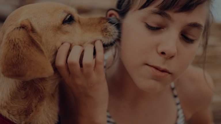 Why Does My Dog Sniff My Ears?