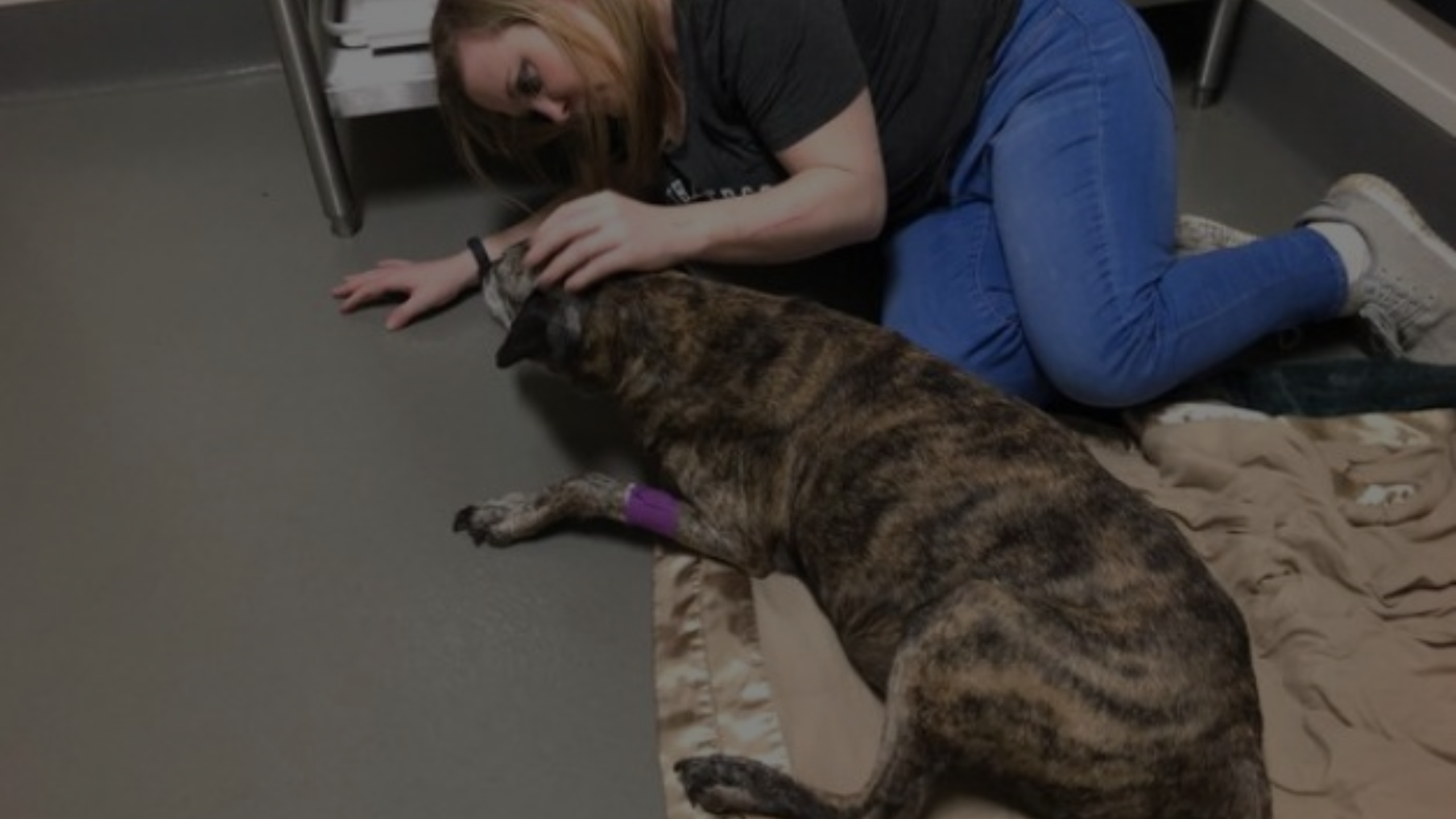 Did I put my dog to sleep too soon