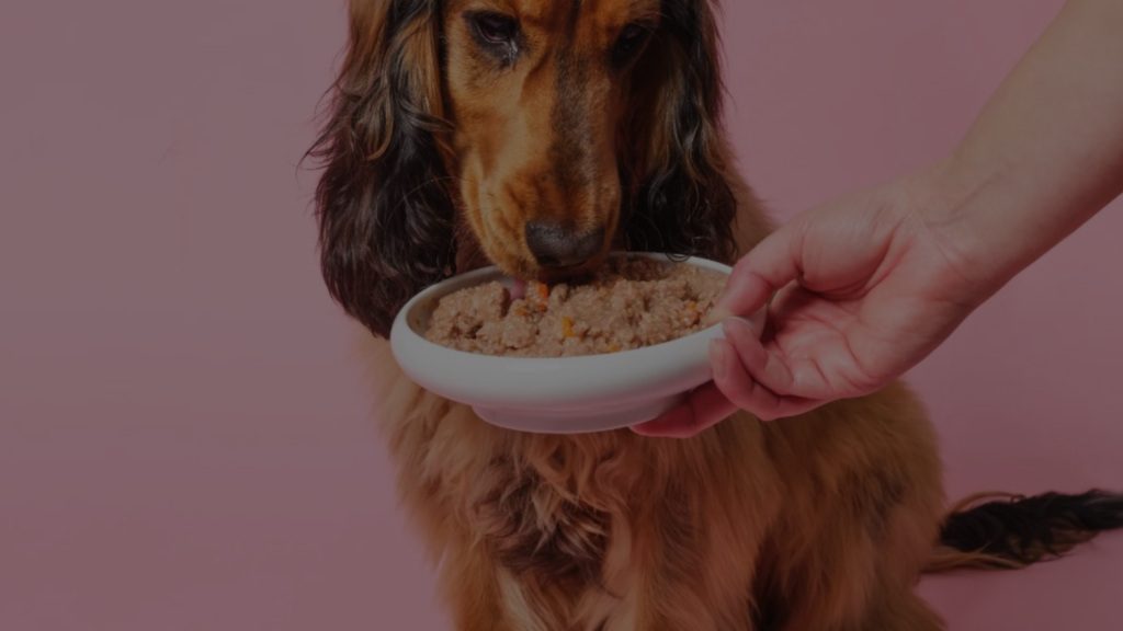 does-wet-dog-food-cause-diarrhea-a-comprehensive-guide