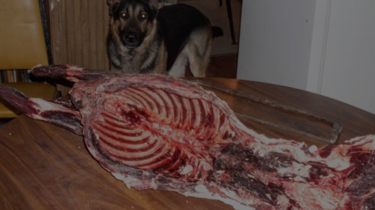 How to Prepare Deer Bone for Dog?