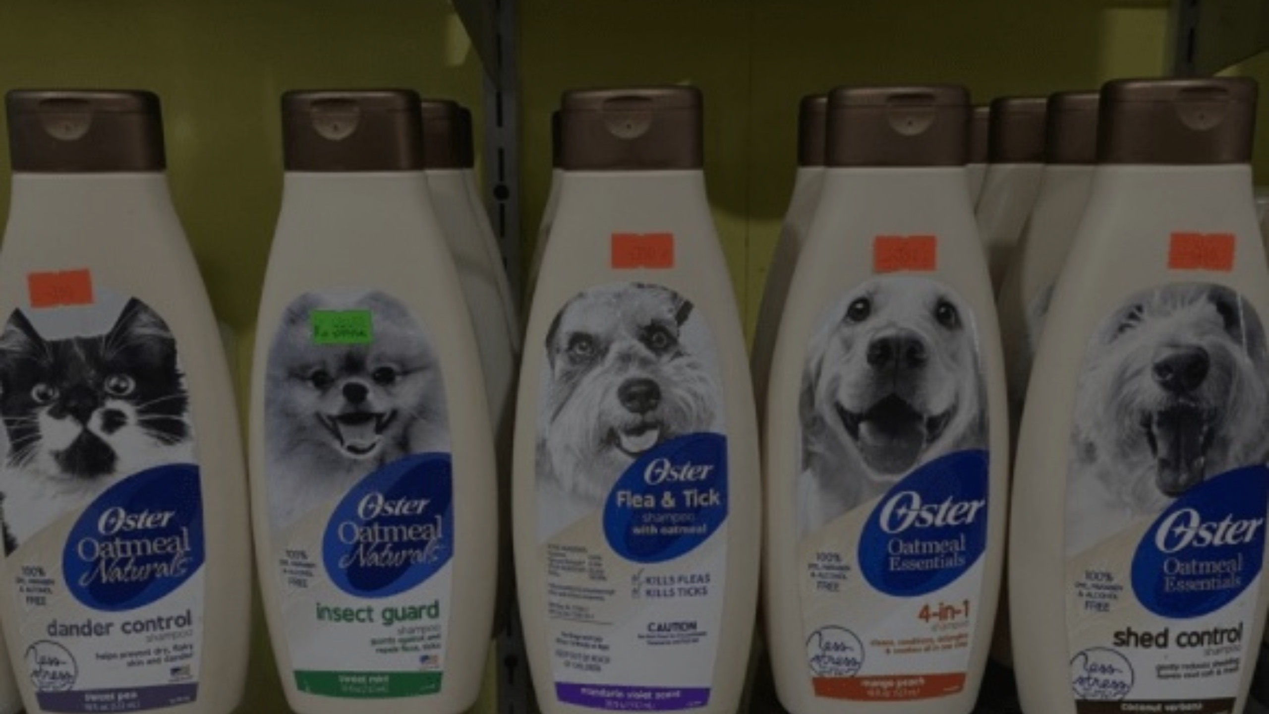 Is Oster Dog Shampoo Safe Featured Images
