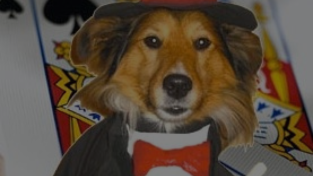 What Do You Call a Dog That Can Do Magic? Informative Guide