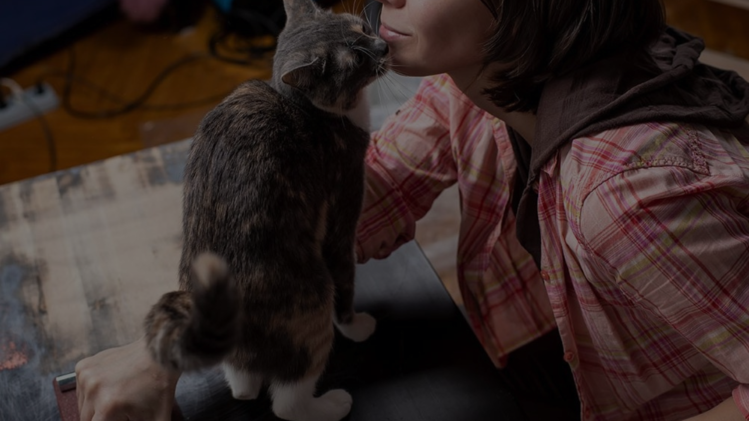 Why Does My Cat Bite My Chin Featured Images