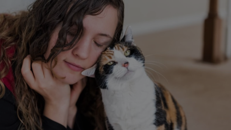 Why Does My Cat Headbutt My Phone?