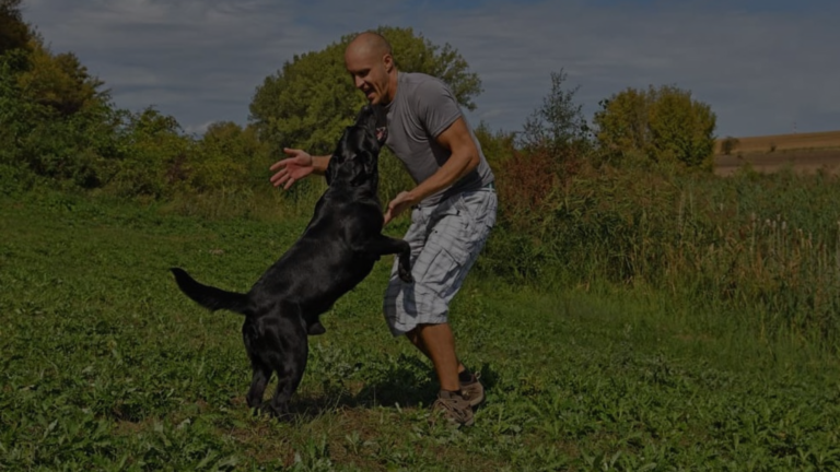 Why Does My Dog Step on My Feet?