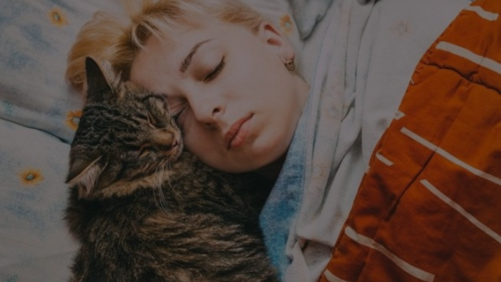 Why Does My Cat Sleep on My Pillow? Feline Mystery